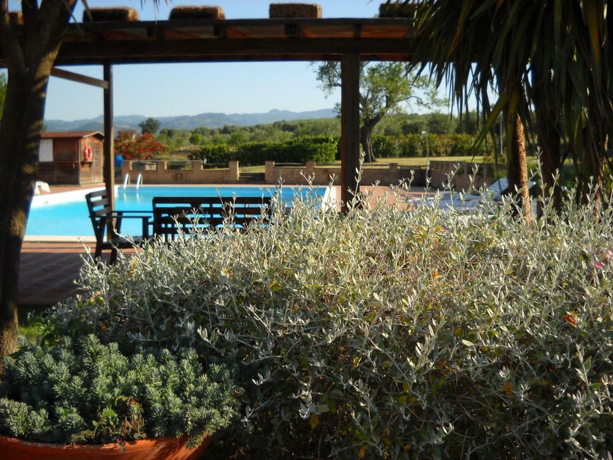 Agriturismo Podere Del Vescovo Montenero d'Orcia Exterior photo