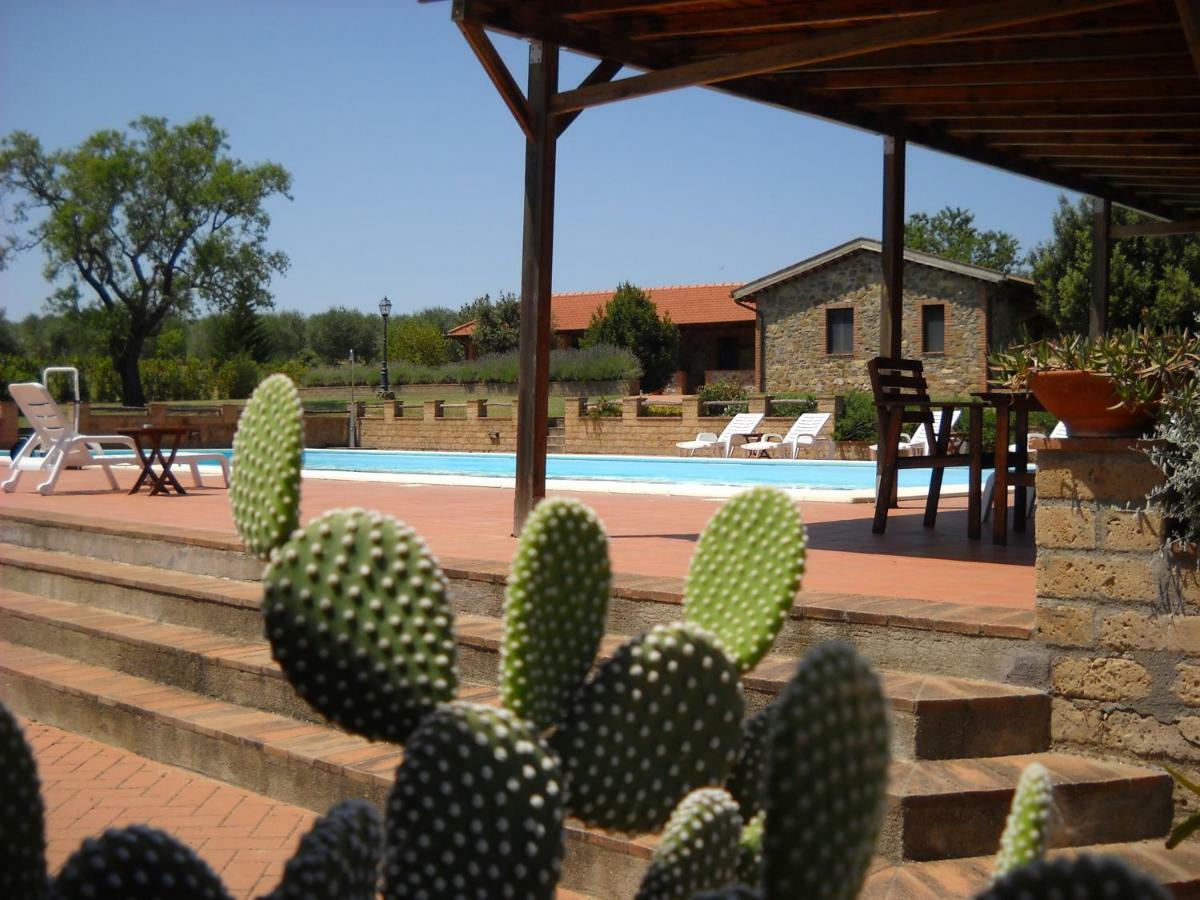 Agriturismo Podere Del Vescovo Montenero d'Orcia Exterior photo