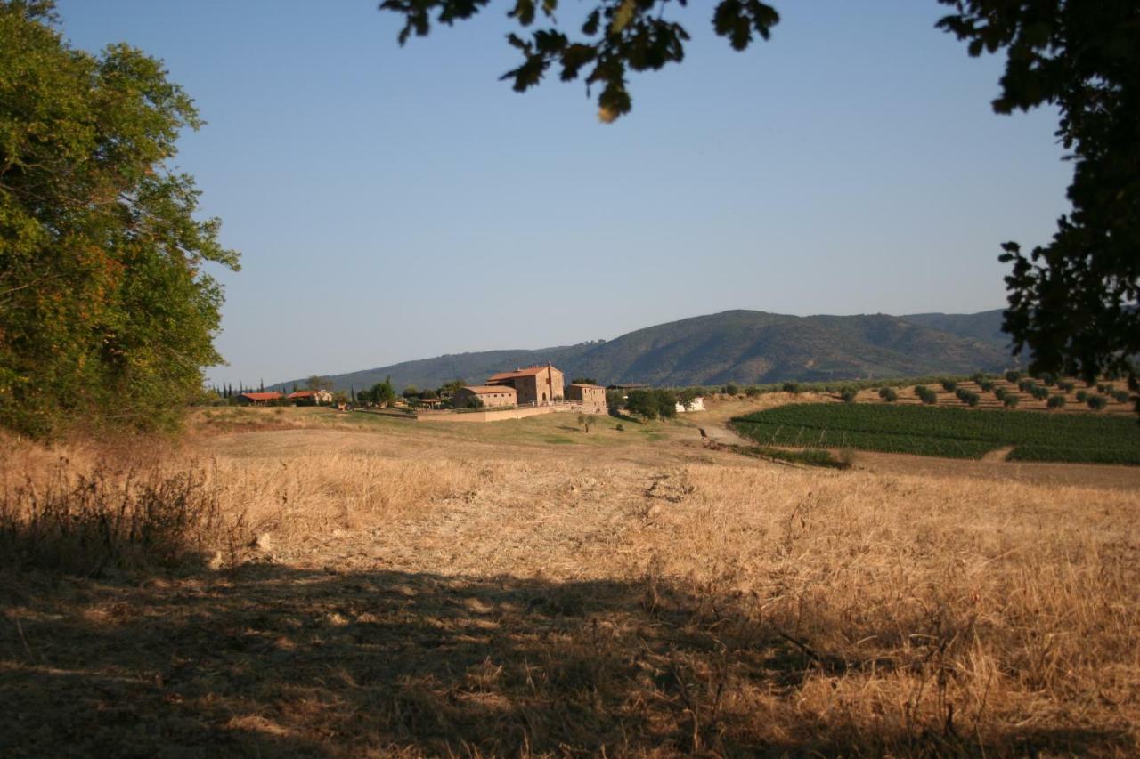 Agriturismo Podere Del Vescovo Montenero d'Orcia Exterior photo