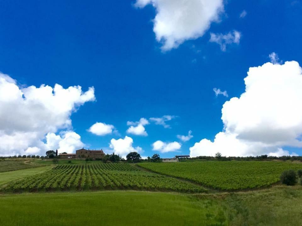 Agriturismo Podere Del Vescovo Montenero d'Orcia Exterior photo