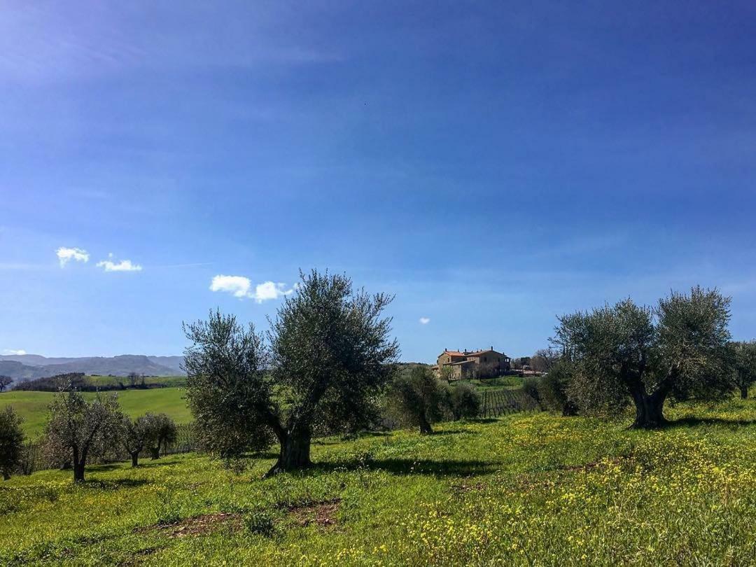 Agriturismo Podere Del Vescovo Montenero d'Orcia Exterior photo